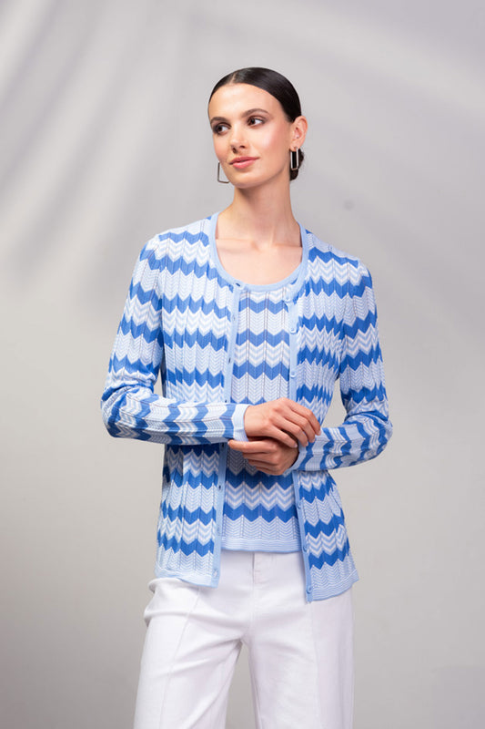 Alison Sheri Striped Knit Twin-Set Blue Multi A45339